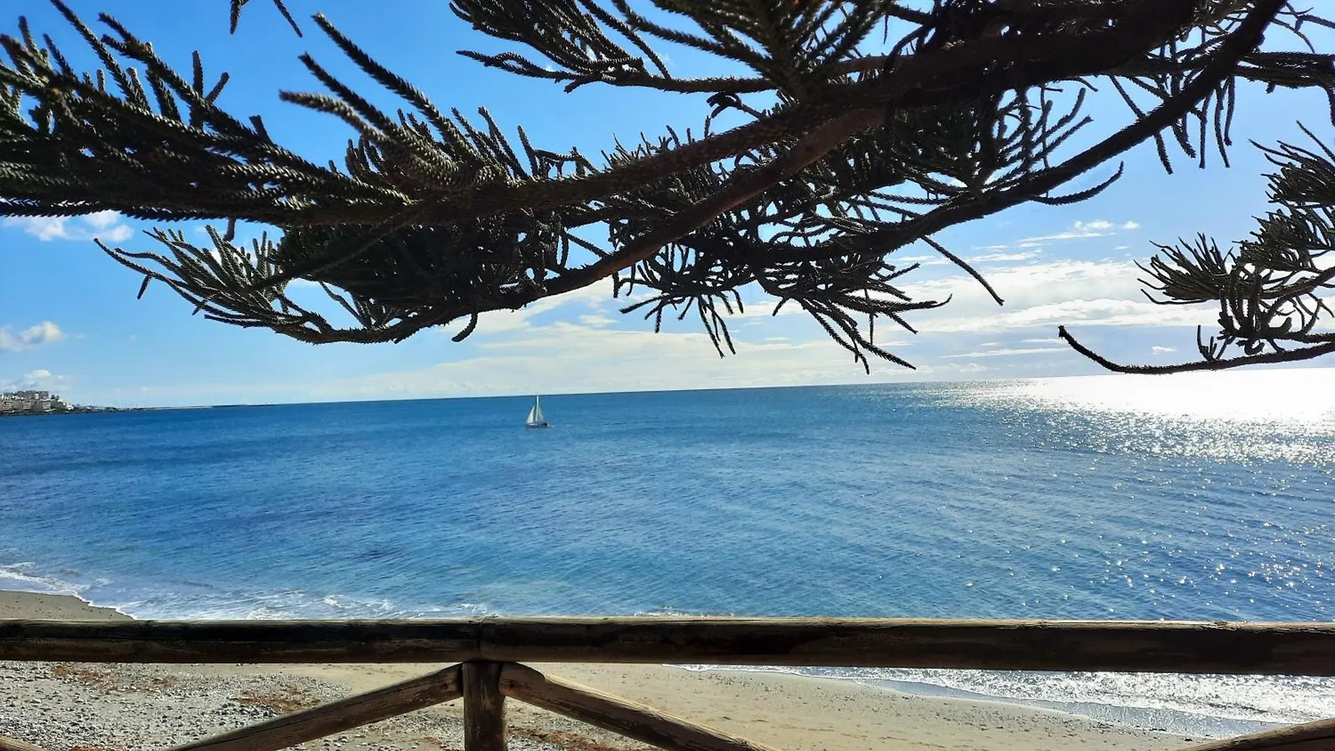Daire Apartamento Caballito De Mar Manilva